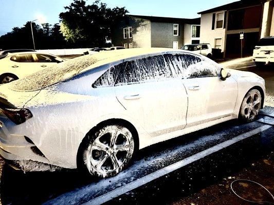 Top Wash & Detailing