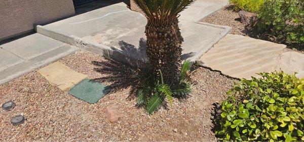 Miracle Landscape and Trees