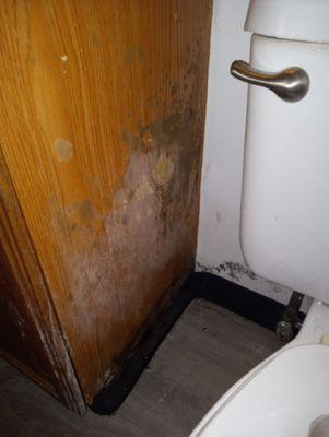 Coeur D' Alene Budget Saver Motel