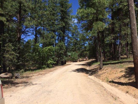 Pine Summit Bible Camp & Conference Center