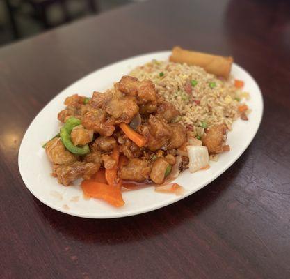 Combination Plate ($11.00)