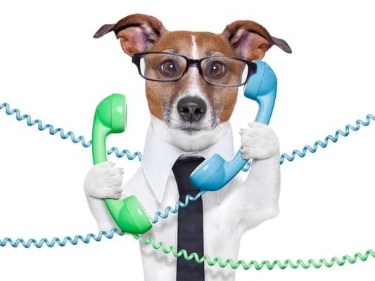 On Hold Marketing Works