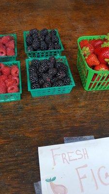 Meadowbrook Farm