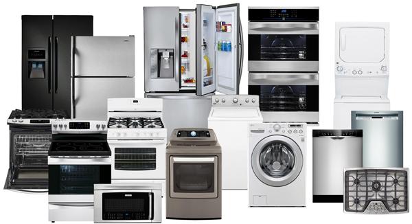 Bird Appliance Repair Service