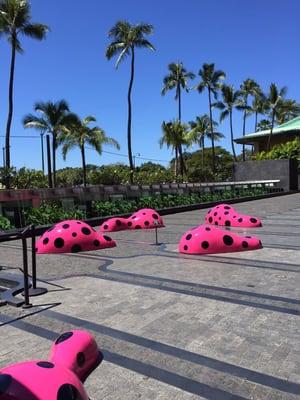 Footprints of Life:  Yayoi Kusama