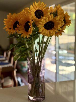 Sunflower bunches