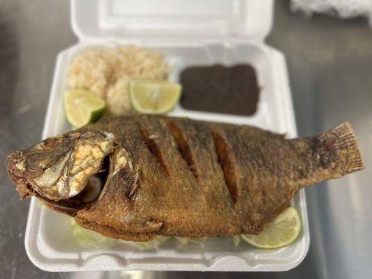 Fried tilapia