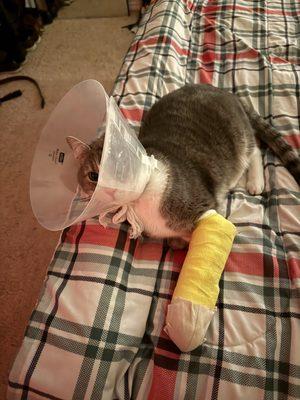 Hayden Pet Medical Center