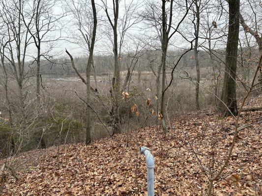 Old Pine Farm Natural Land Trust