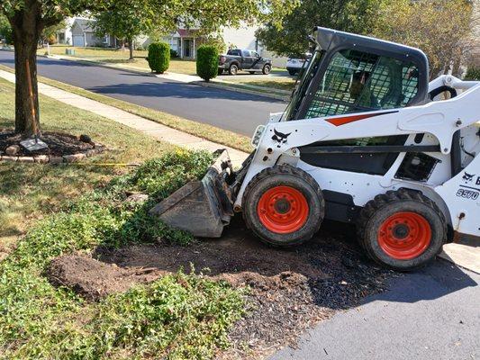 Dynamic Landscaping And Junk Removal