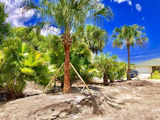 Landscape Innovations and Landworks