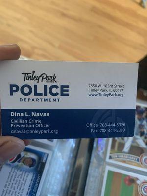 Tinley Park Village of