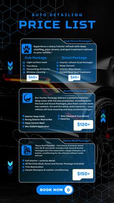 Wolfpack Automotive and Home Detailing