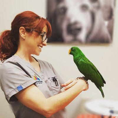 Urban Veterinary Associates