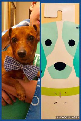 Collar accessories!!!