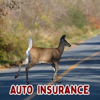 Auto insurance for every season. Update your coverage or ask for a quote!