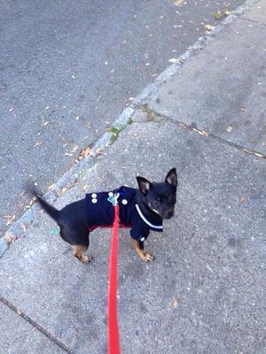 Maxwell and Molly's Closet