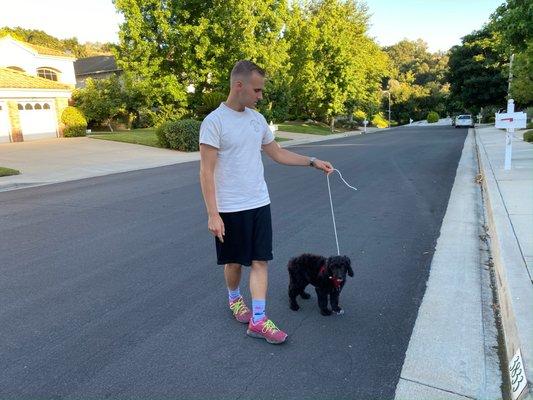 Canine Care And Behavior