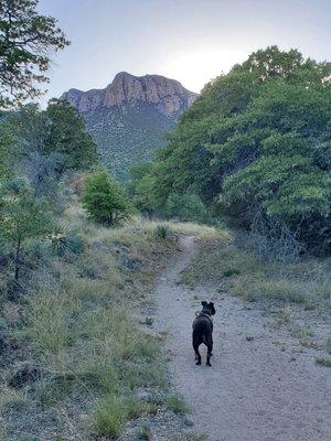 Huachuca Mountain Handyman Services