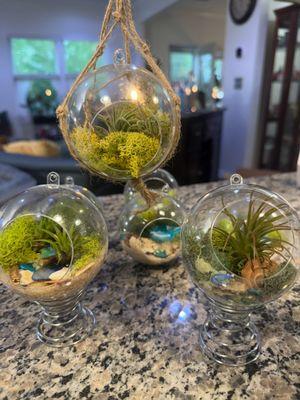 Mini orb terrarium for hanging or hanging out on your desk!