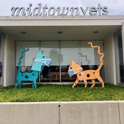 Midtown Vets