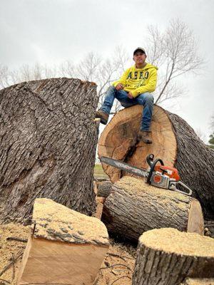 Cutting down a tree over 40 years old, we cut it down because it was already a very dangerous tree; its branches were dying.
