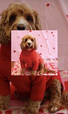 East Memphis Pet Hospital & Resort