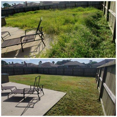 The Lawn Ranger and Pronto Lawn and Tree Services