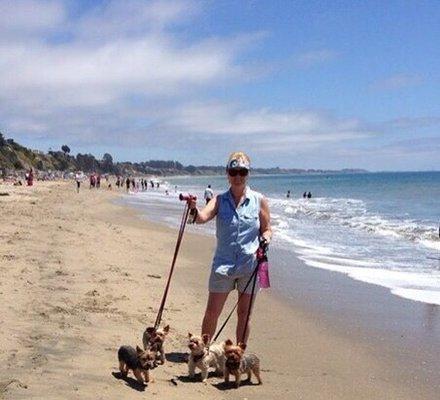 Dog Grooming By Kristin