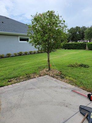 East Coast Cleanings and Restoration