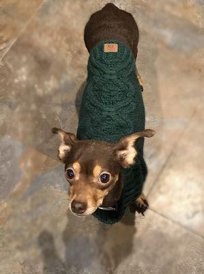 Helping Paws Veterinary Hospital