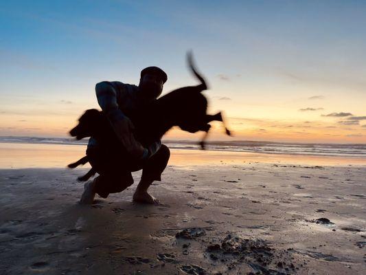 A black labrador jumps through a man's arms