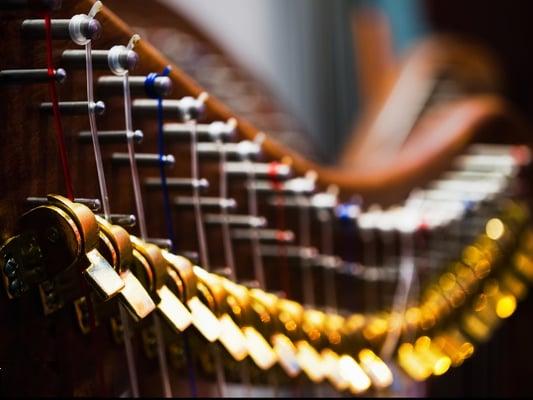 Artamisha Farnsworth: Professional Harpist