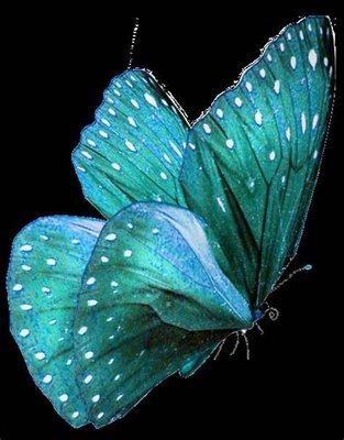 Moongoddess Memoirs Massage and Wellness