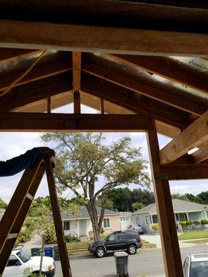 Custom Builders AVF Design Concepts