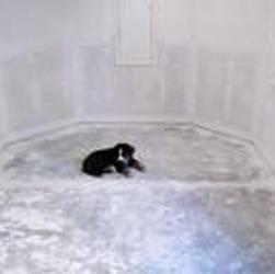 Genesis Master Builders