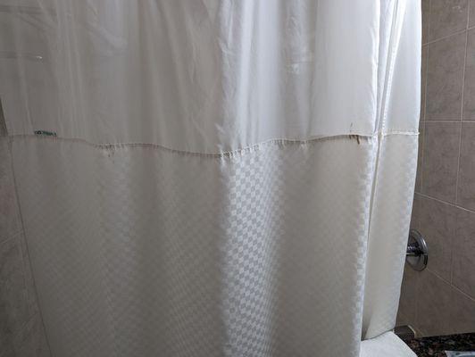 I don't know what that is on that shower curtain. Is it blood or mildew? But either way it's nasty looking.