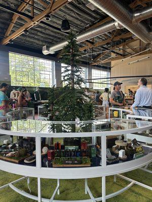 Boone Town Provisions