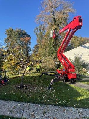 Lewis Lawn & Tree Service LLC