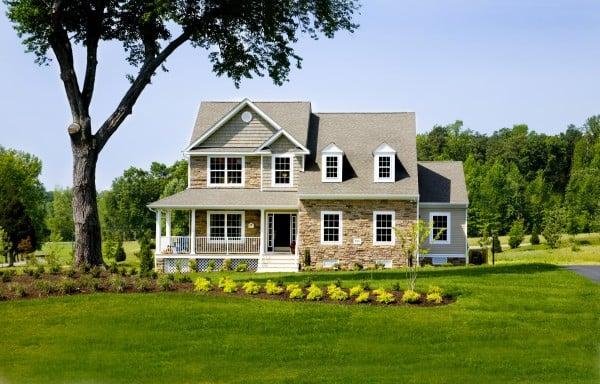 Buggies Pest Control