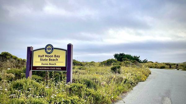 Dunes Beach - Half Moon Bay State Beach