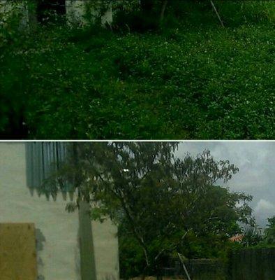 Before and After total Restoration