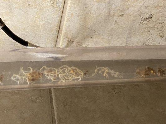 La Paz Spa Total Body Detox Center