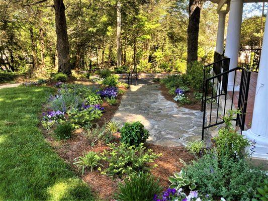 Dream Gardens