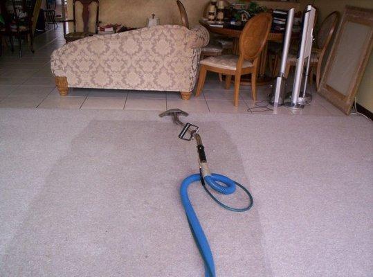 Carpet Cleaning