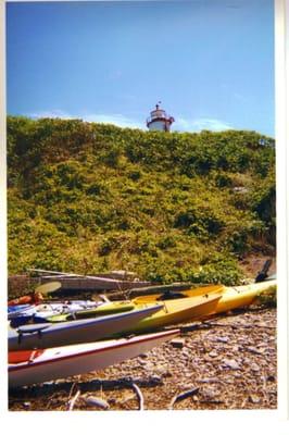 Faulker's Light Brigade