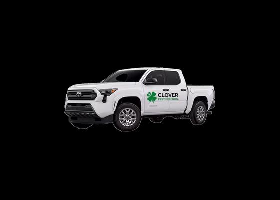 Clover Pest Control