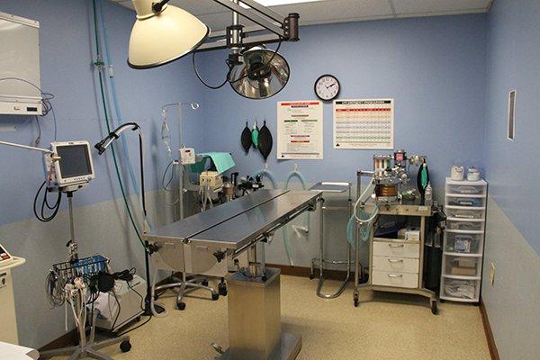 Marysville Animal Care Center