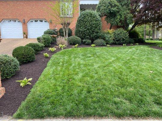 Sandoval Landscaping & Contractors