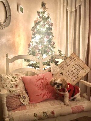 Cottom Farm's Christmas village